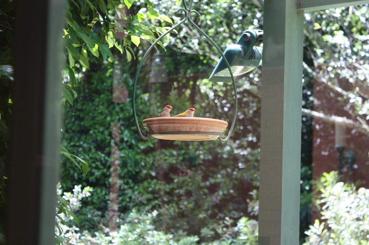 Bed and Breakfast Mandalay House Bellawongarah Exterior foto